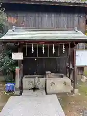 泊神社の手水