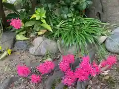 荘厳浄土寺の自然