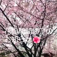 彌彦神社 (伊夜日子神社)の体験その他