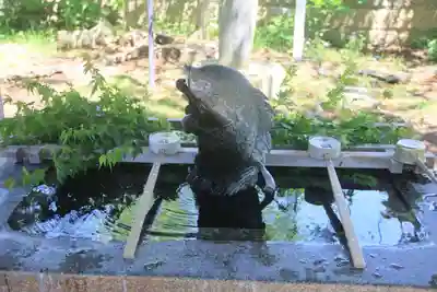 神炊館神社 ⁂奥州須賀川総鎮守⁂の手水舎