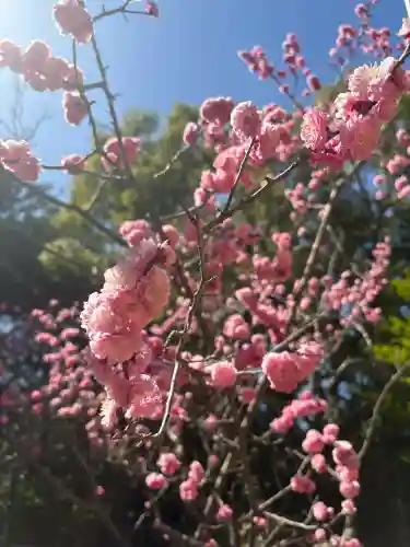 六所神社の{uncategorized: "未分類", other: "その他", undefined: "問題あり", building: "その他建物", grave: "お墓", sacred_gate: "鳥居", guardian: "狛犬", statue: "像", buddha: "仏像", history: "歴史", nature: "自然", garden: "庭園", animal: "動物", pagoda: "塔", temizu: "手水舎", mountain_gate: "山門・神門", sanctuary: "本殿・本堂", subordinate: "末社・摂社", art: "芸術", scenery: "景色", jizo: "地蔵", ema: "絵馬", goshuin: "御朱印", omikuji: "おみくじ", items: "授与品その他", amulet: "お守り", goshuincho: "御朱印帳", eats: "食事", festival: "お祭り", votive_dance: "神楽", shichigosan: "七五三参", wedding: "結婚式", experience: "体験その他", initially: "初詣", around: "周辺", anti_infection: "感染症対策"}