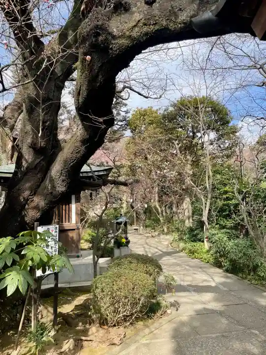 無量寺の{uncategorized: "未分類", other: "その他", undefined: "問題あり", building: "その他建物", grave: "お墓", sacred_gate: "鳥居", guardian: "狛犬", statue: "像", buddha: "仏像", history: "歴史", nature: "自然", garden: "庭園", animal: "動物", pagoda: "塔", temizu: "手水舎", mountain_gate: "山門・神門", sanctuary: "本殿・本堂", subordinate: "末社・摂社", art: "芸術", scenery: "景色", jizo: "地蔵", ema: "絵馬", goshuin: "御朱印", omikuji: "おみくじ", items: "授与品その他", amulet: "お守り", goshuincho: "御朱印帳", eats: "食事", festival: "お祭り", votive_dance: "神楽", shichigosan: "七五三参", wedding: "結婚式", experience: "体験その他", initially: "初詣", around: "周辺", anti_infection: "感染症対策"}