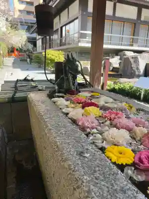 頂法寺（六角堂）(京都府)