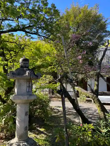 平野神社(京都府)