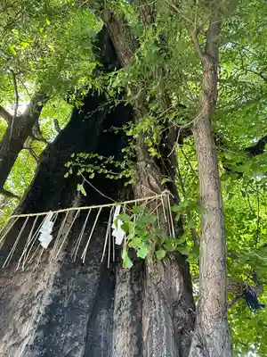 飛木稲荷神社(東京都)