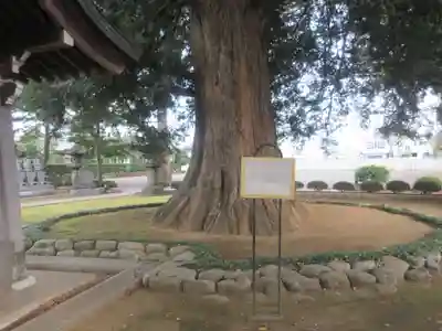 梅岩寺(東京都)