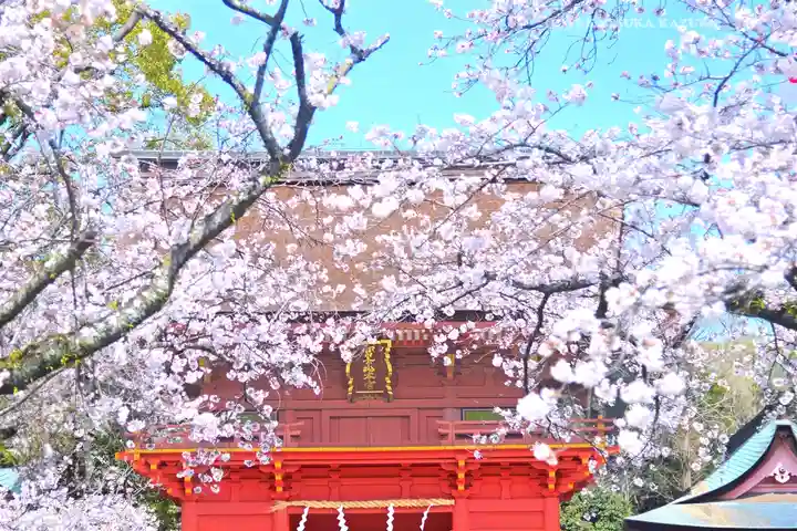 富士山本宮浅間大社(静岡県)