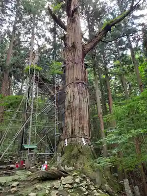 志和稲荷神社のその他建物