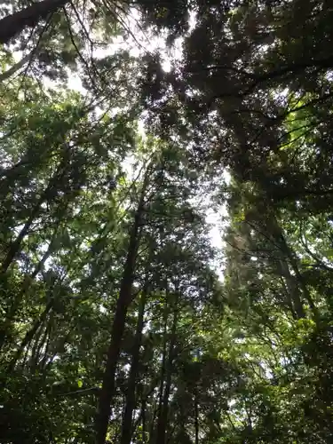 月讀宮（皇大神宮別宮）の自然