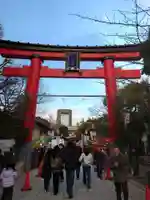 富岡八幡宮の鳥居