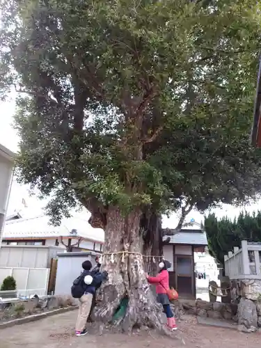 御鍬神社の自然