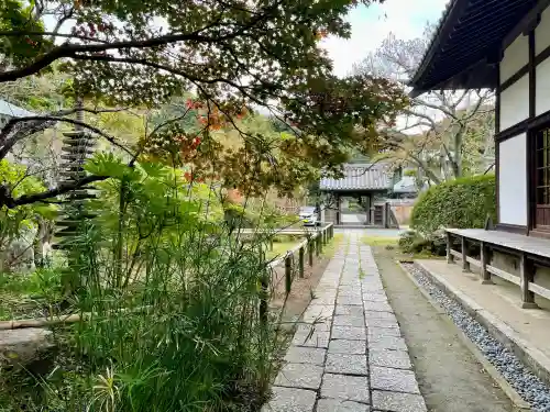 浄光明寺(神奈川県)