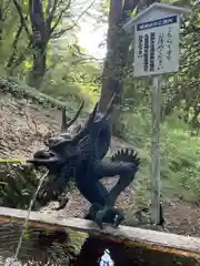 九頭龍神社本宮の手水