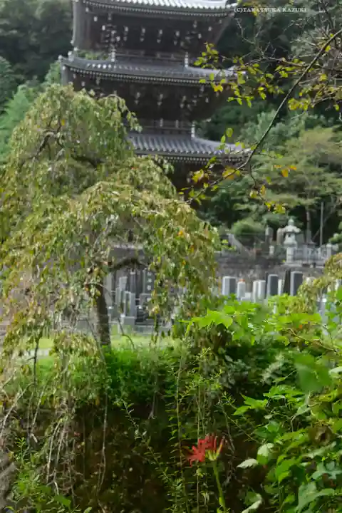 浄発願寺(神奈川県)