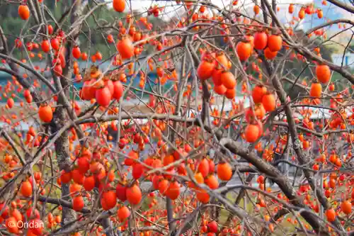 禅定寺(京都府)