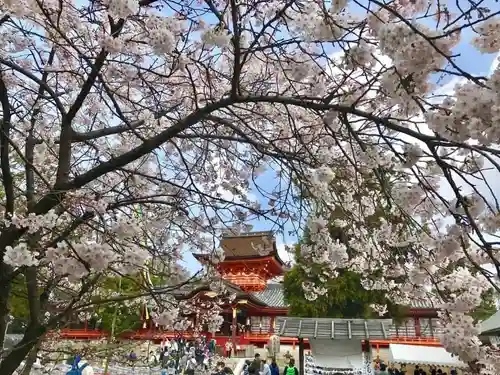 石清水八幡宮(京都府)