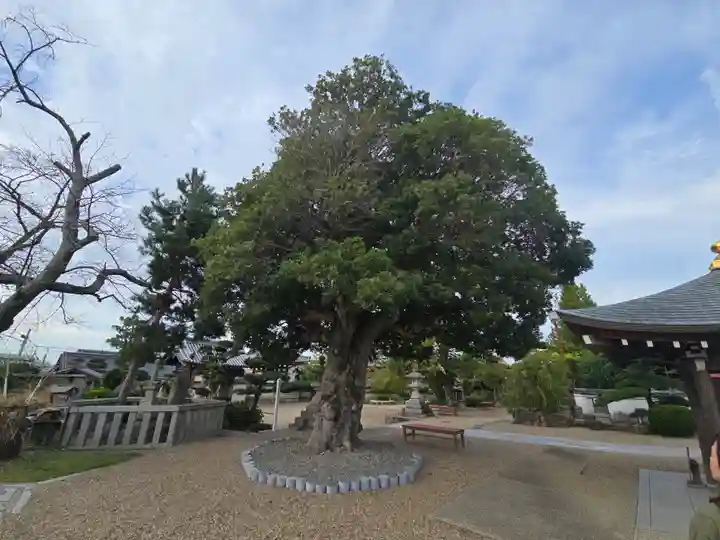 帝釈寺(大阪府)