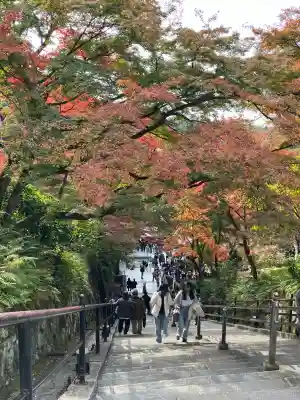 清水寺(京都府)