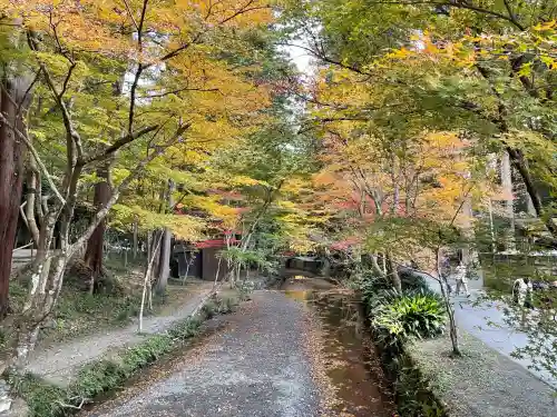 小國神社(静岡県)