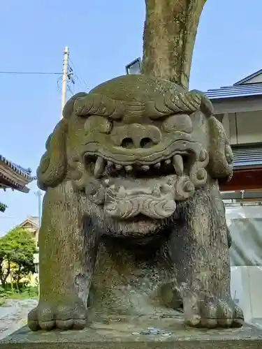 三島八幡神社の狛犬