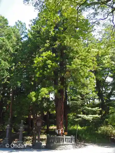 諏訪大社下社春宮(長野県)