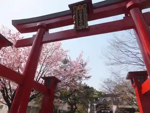 彌彦神社　(伊夜日子神社)の鳥居