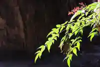 鹿島大神宮の庭園