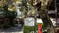 七社神社の自然