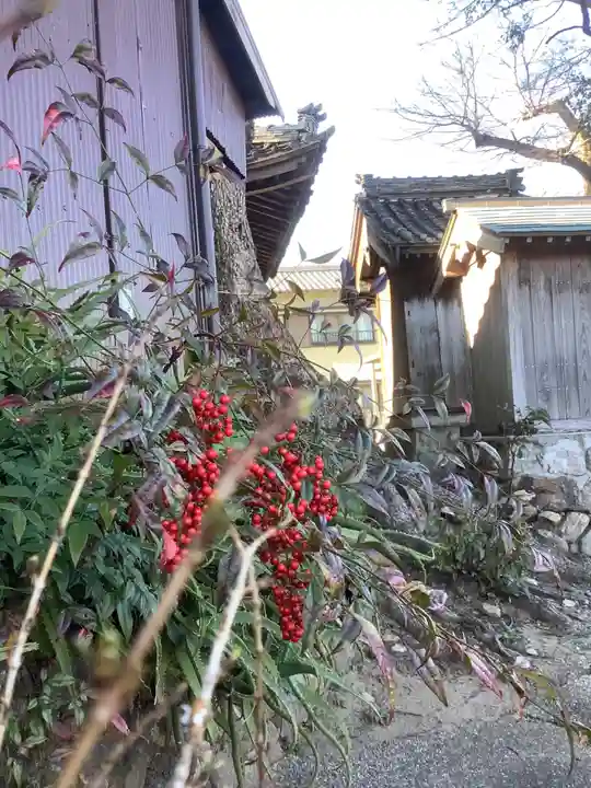 関川社(赤坂町)の庭園