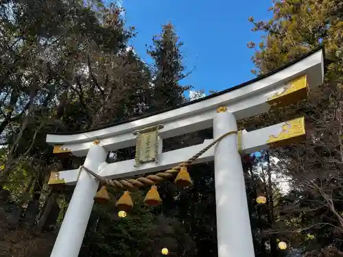 宝登山神社(埼玉県)