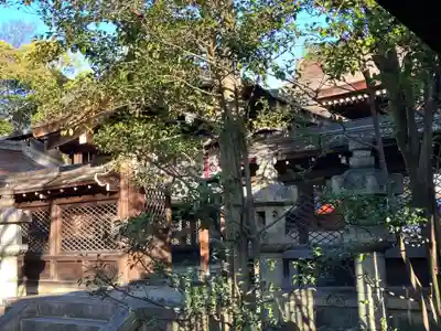 豊国神社(京都府)