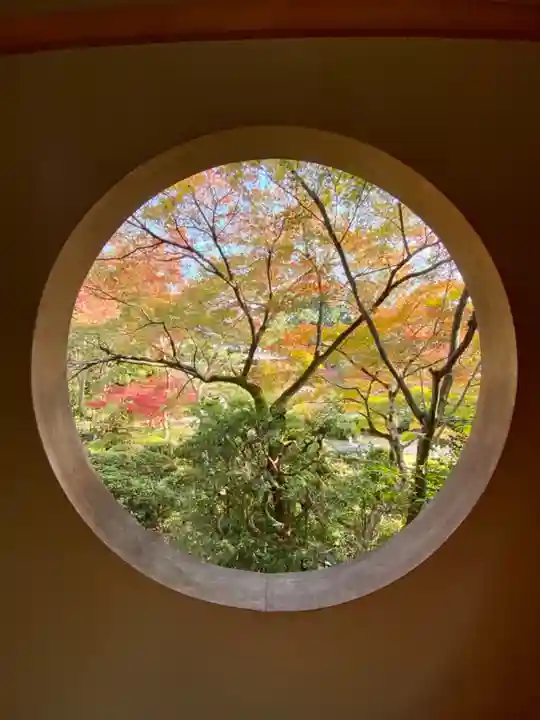 善法律寺の自然