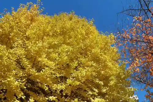 晴門田神社の自然
