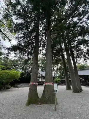 雄山神社前立社壇(富山県)