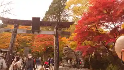 古峯神社の鳥居