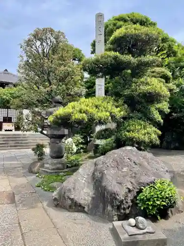 大円寺(東京都)