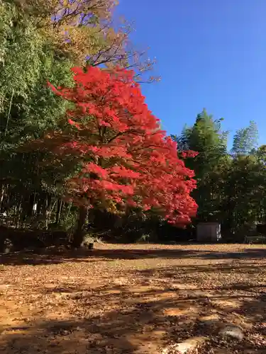 河口浅間神社の庭園