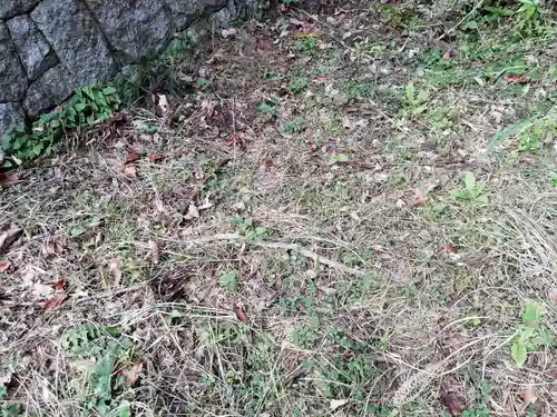 名称不明(神社)の動物