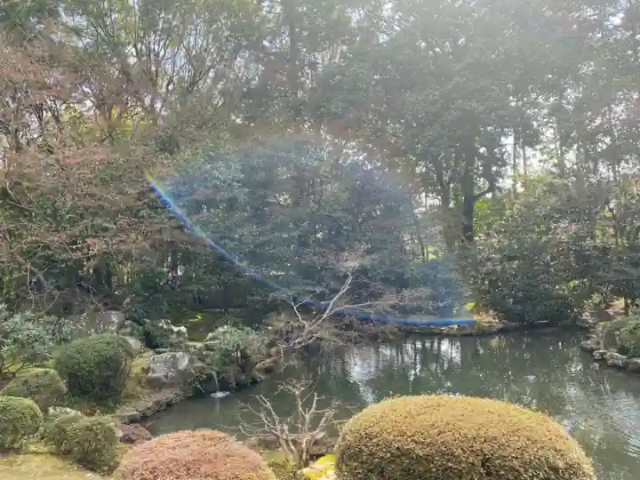 隨心院(随心院)の庭園