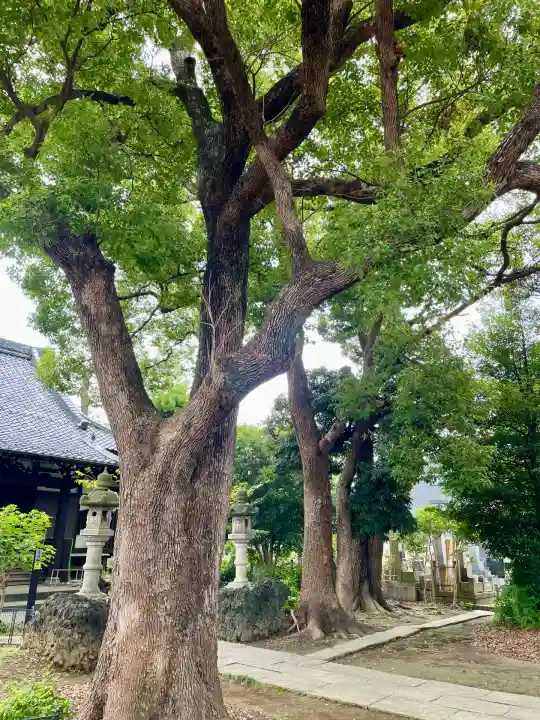 長福寺(神奈川県)