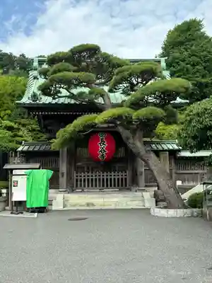 長谷寺(神奈川県)
