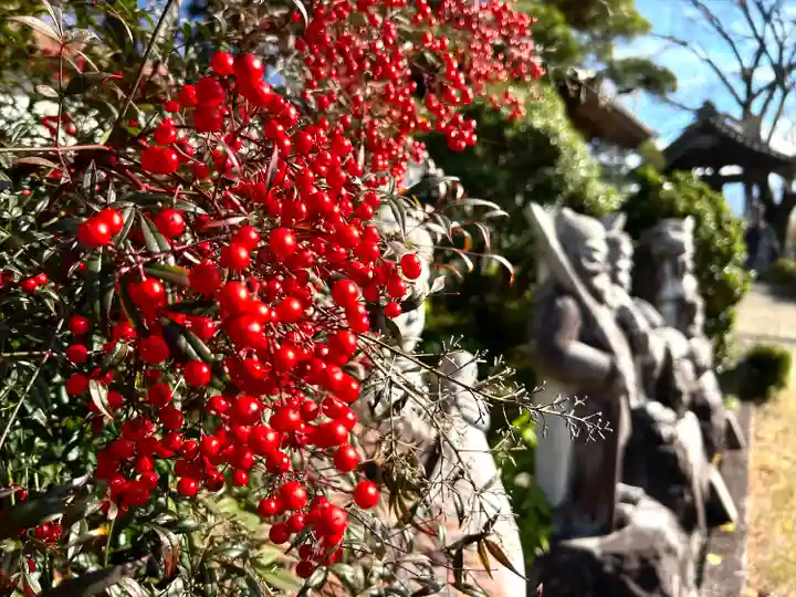 瑠璃寺(長野県)