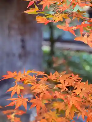 明通寺(福井県)