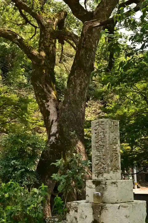 法谷寺(徳島県)