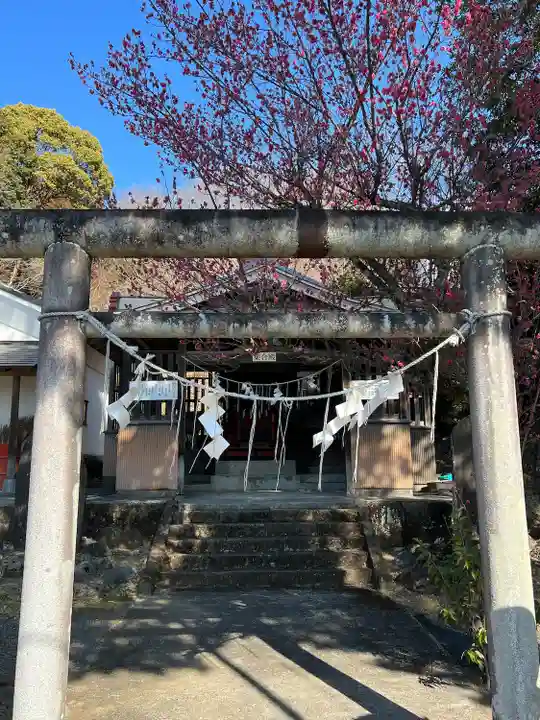 賀茂別雷神社(栃木県)