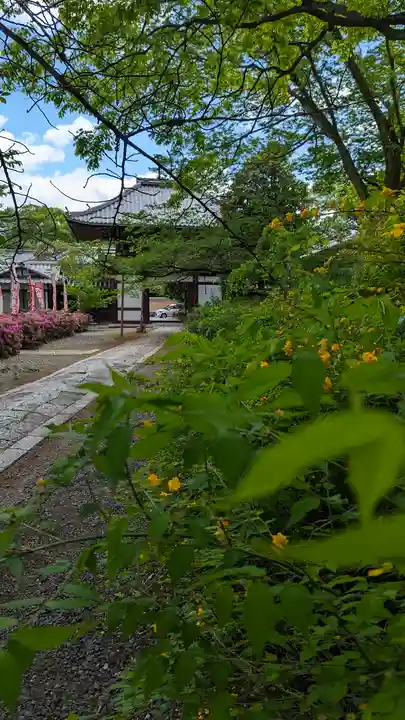 本法寺(京都府)