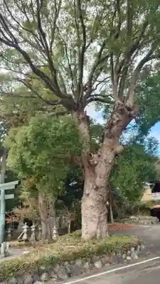 大頭龍神社(静岡県)