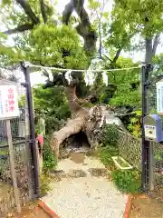 牛嶋天満宮の自然