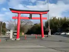 白笹稲荷神社の鳥居