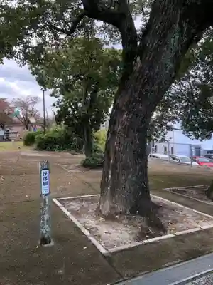 宝満宮のその他建物